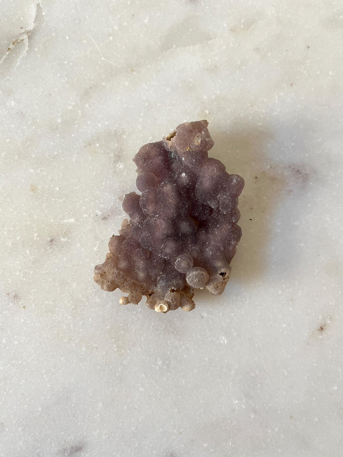 AGAT WINOGRONOWY 29g, 6,5cm